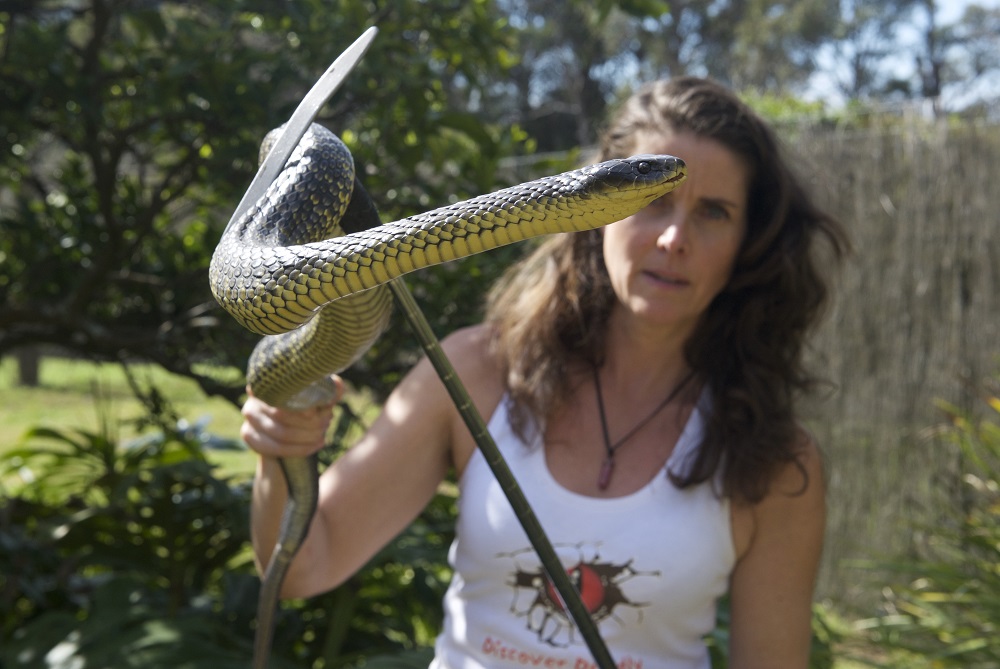 Snake awareness day at the library
