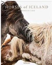 Horses of Iceland by Guadalupe Laz