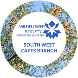 Wildflower Society of Western Australia: a presentation by Richard Clark @ Margaret River Library